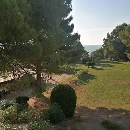 I Delfini Di Pugnochiuso * Vieste