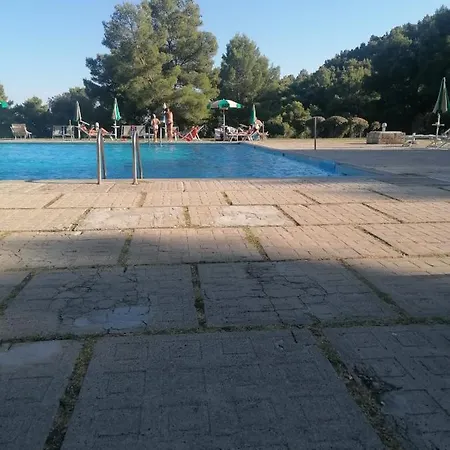I Delfini Di Pugnochiuso