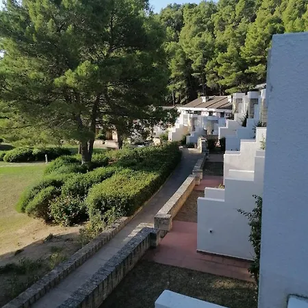 I Delfini Di Pugnochiuso * Vieste